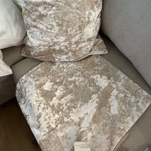 20x20 Throw pillow cover new with tags never used - west elm